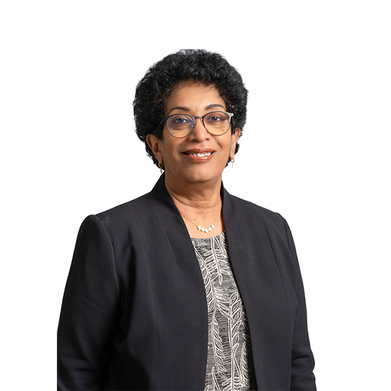 Photo of Prof. Dilanthi Amaratunga